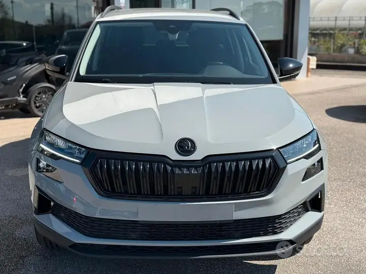 Skoda Karoq 2023 photo 2