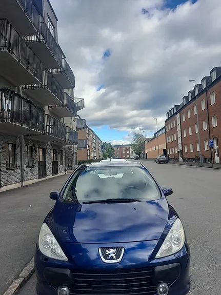 Peugeot 307 2006 photo 3