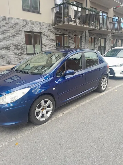Peugeot 307 2006 photo 2