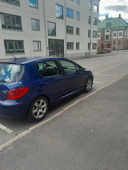 Peugeot 307 2006 photo 4