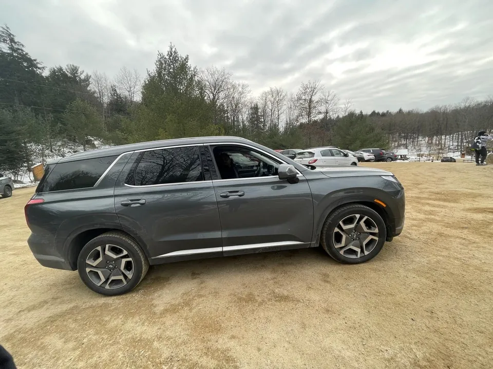 Hyundai Palisade 2024 photo 2