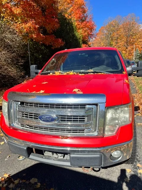 Ford F-150 2013 photo 3