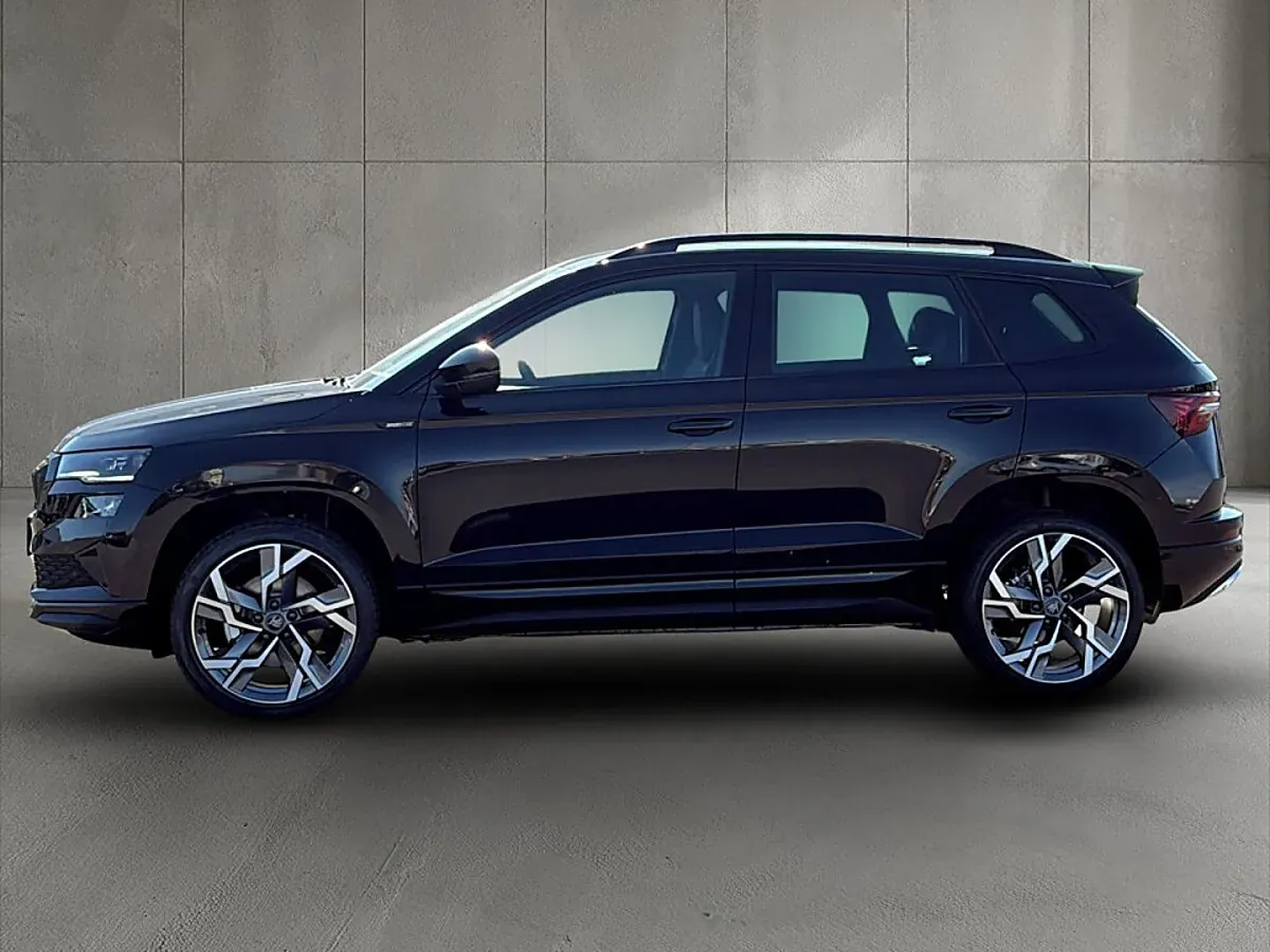 Skoda Karoq 2026 photo 3