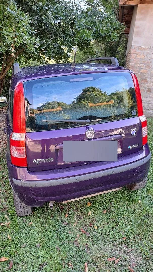 Fiat Panda 2009 photo 5