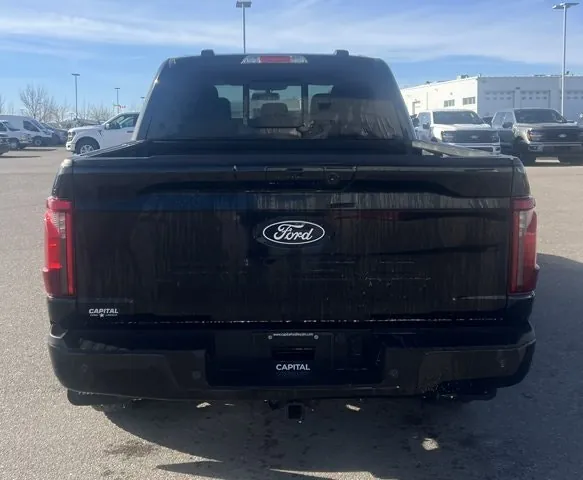 Ford F-150 2024 photo 4