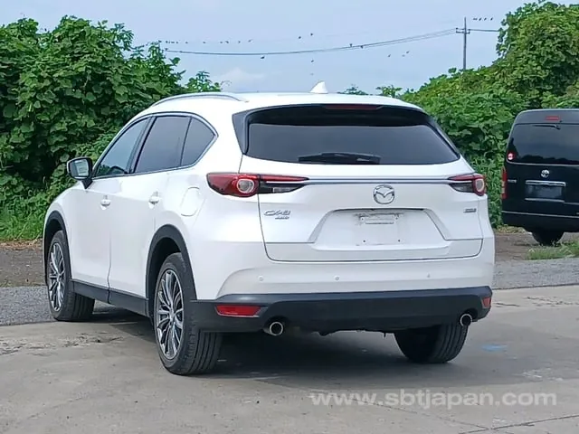 Mazda Cx-8 2019 photo 5