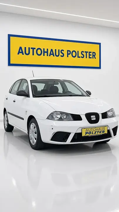Seat Ibiza 2009 photo 3