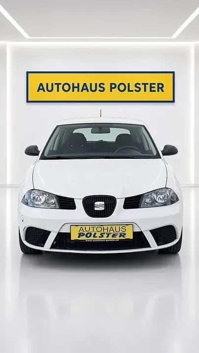 Seat Ibiza 2009 photo 2