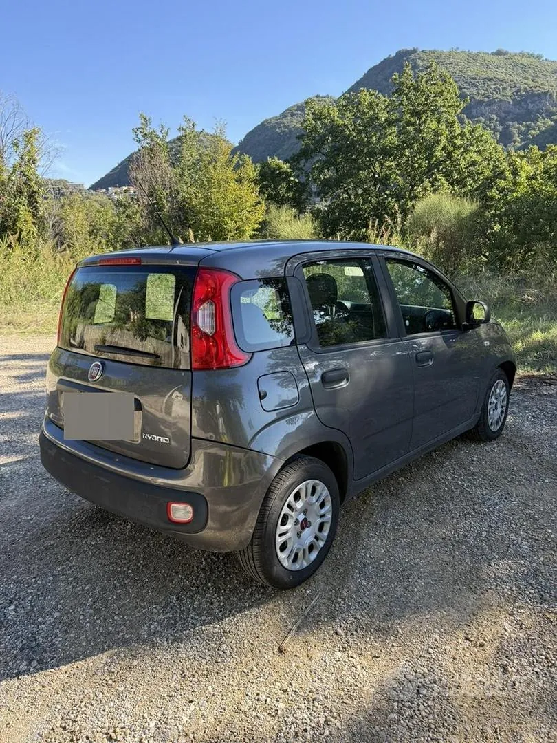 Fiat Panda 2022 photo 4