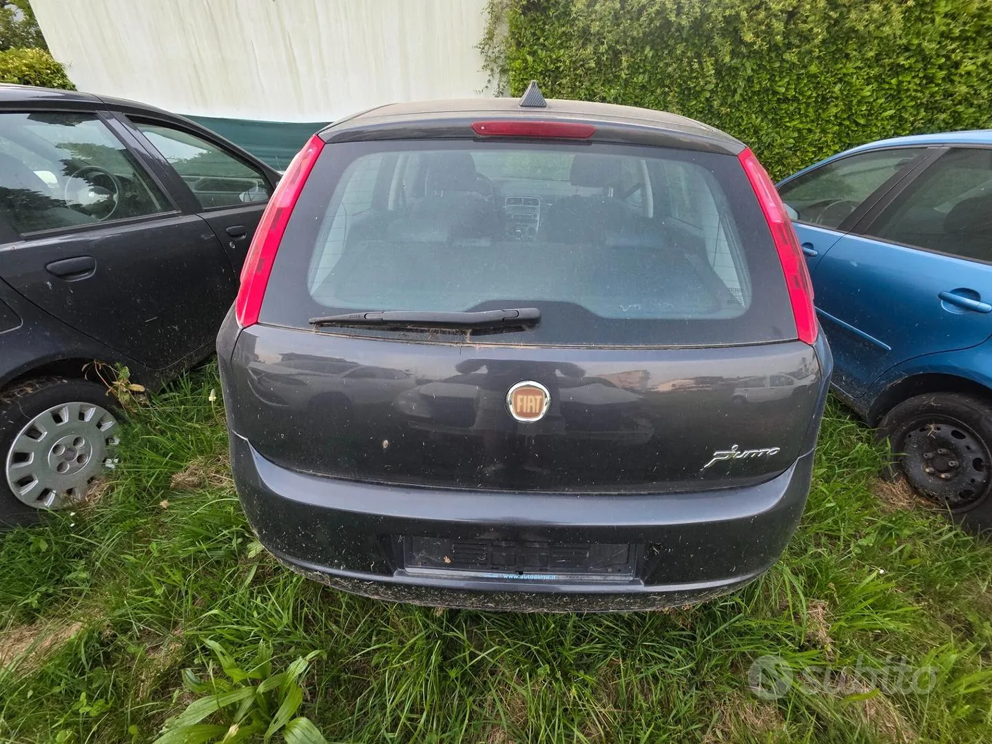 Fiat Punto Evo 2010 photo 5
