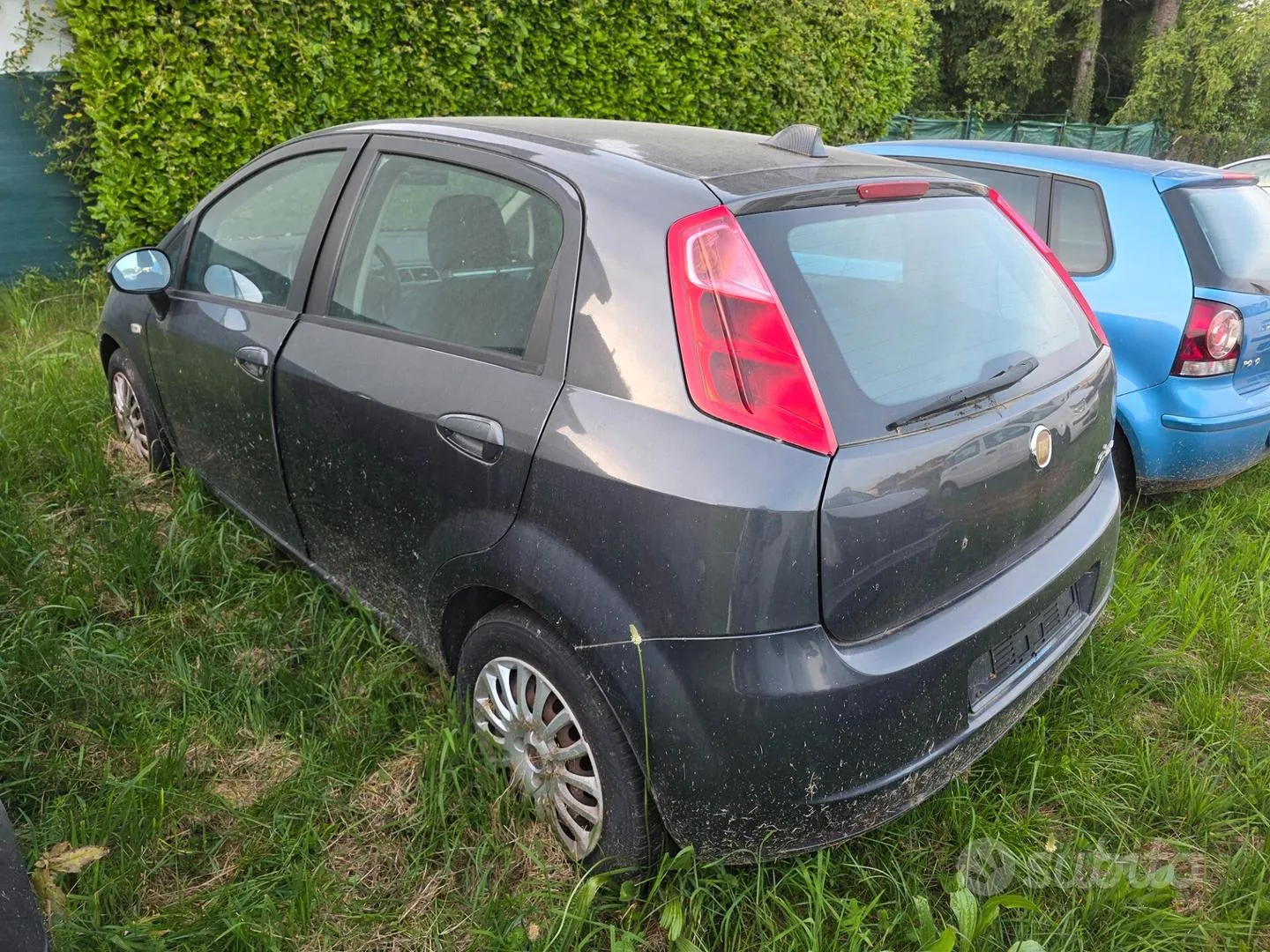Fiat Punto Evo 2010 photo 3