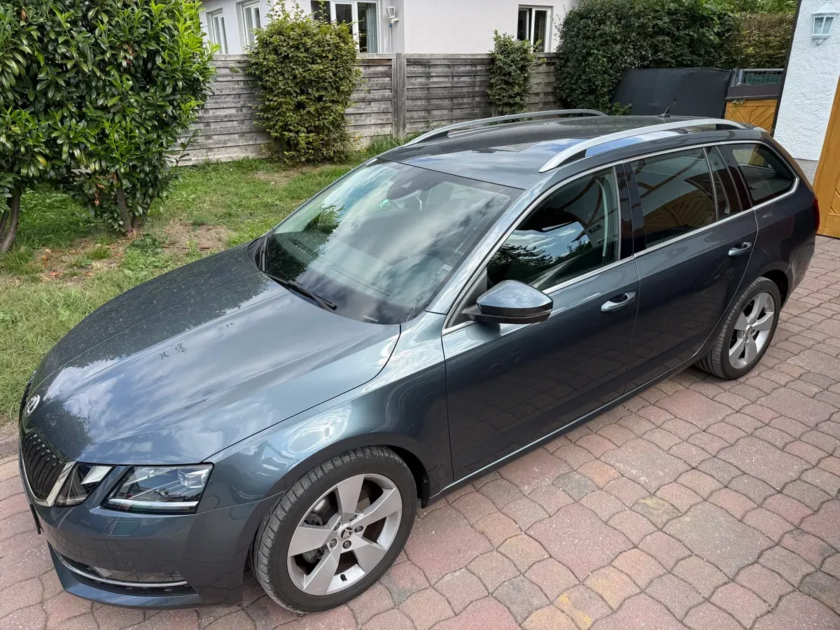 Skoda Octavia 2019 photo 2
