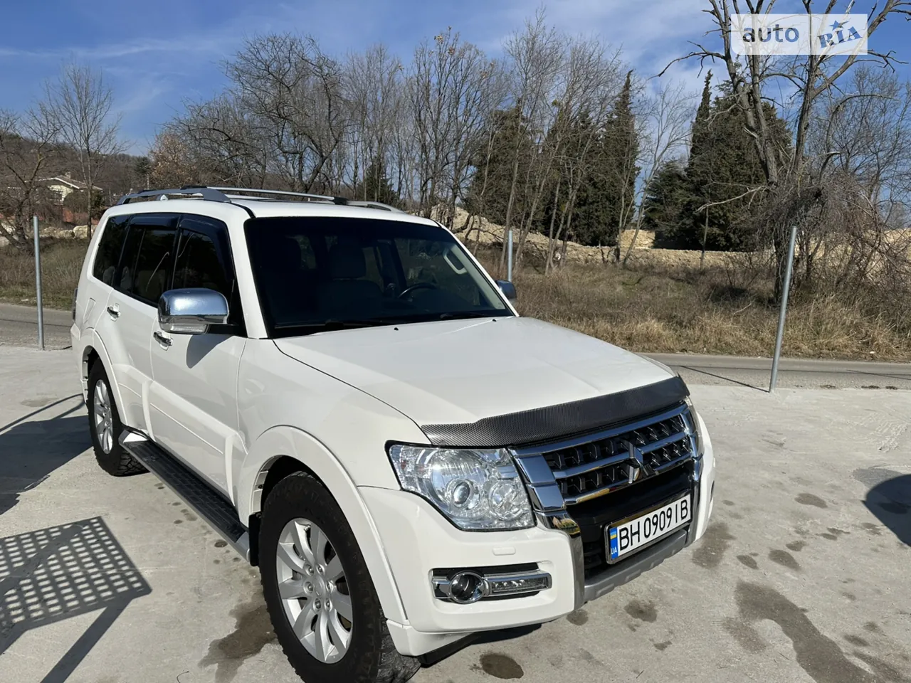Mitsubishi Pajero Wagon 2011 photo 3