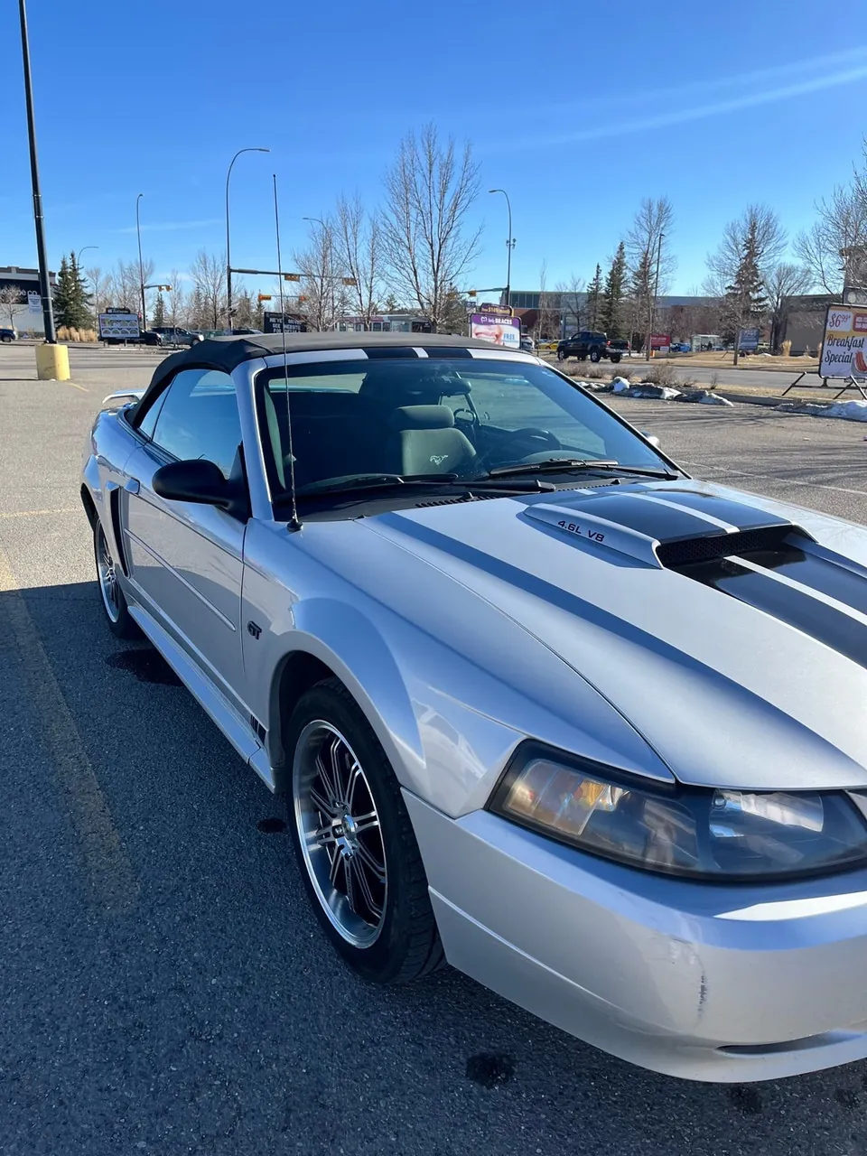 Ford Mustang 2002 photo 2