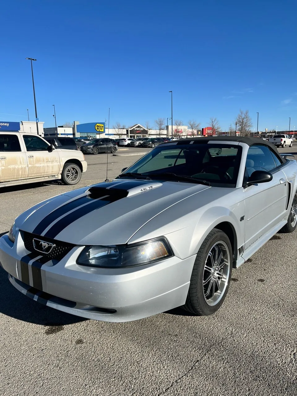 Ford Mustang 2002 photo 5