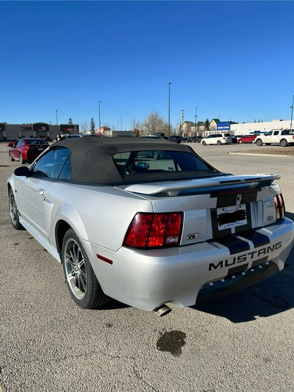 Ford Mustang 2002 photo 3