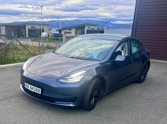 Tesla Model 3 2020 photo 2