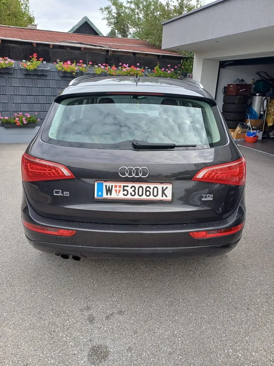 Audi Q5 2010 photo 2