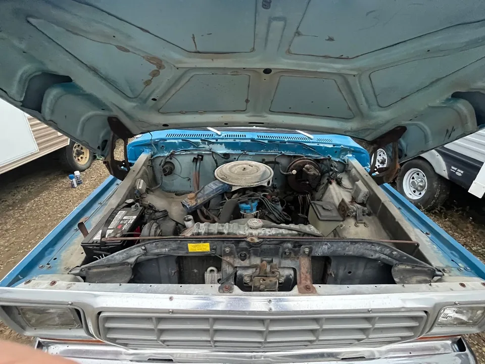Ford F-150 1979 photo 3