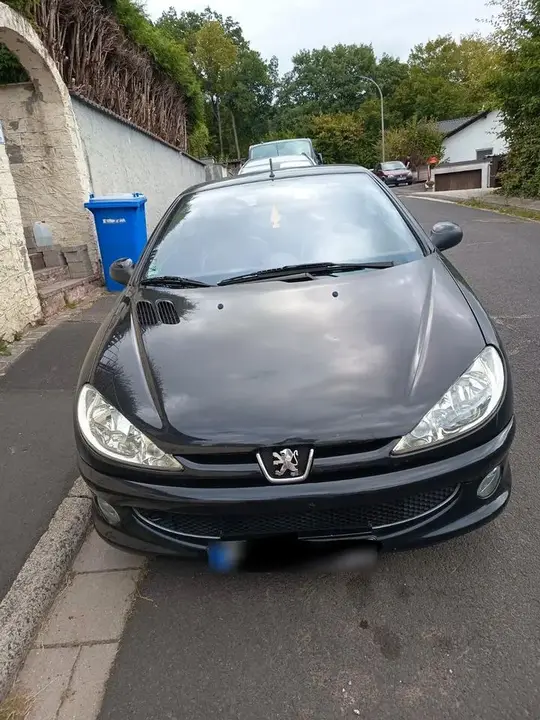 Peugeot 206 Cc Filou