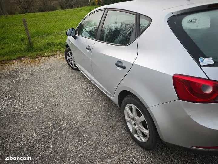 Seat Ibiza 2008 photo 2