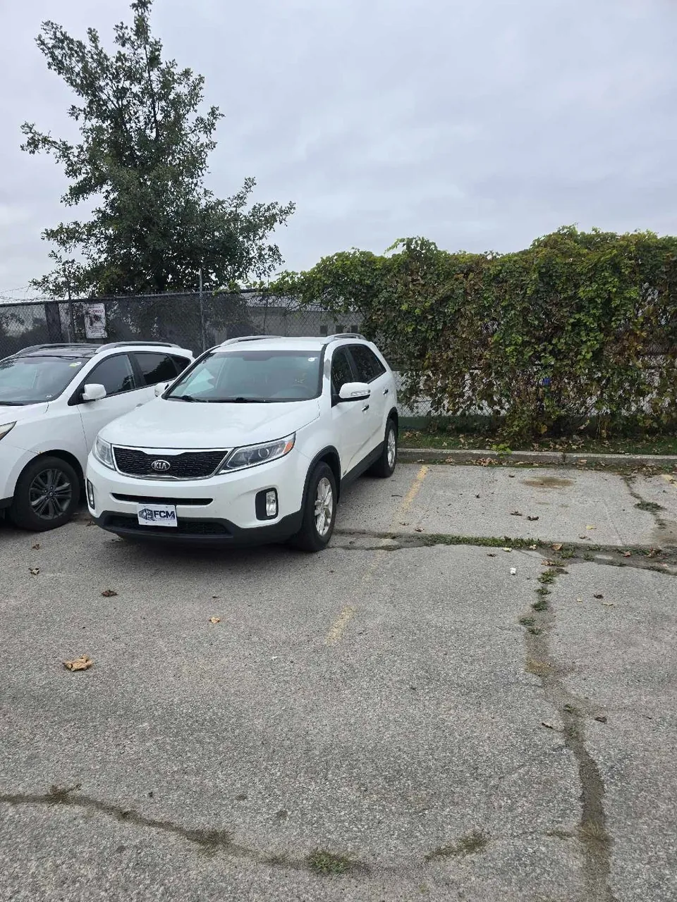 Kia Sportage 2013 photo 4