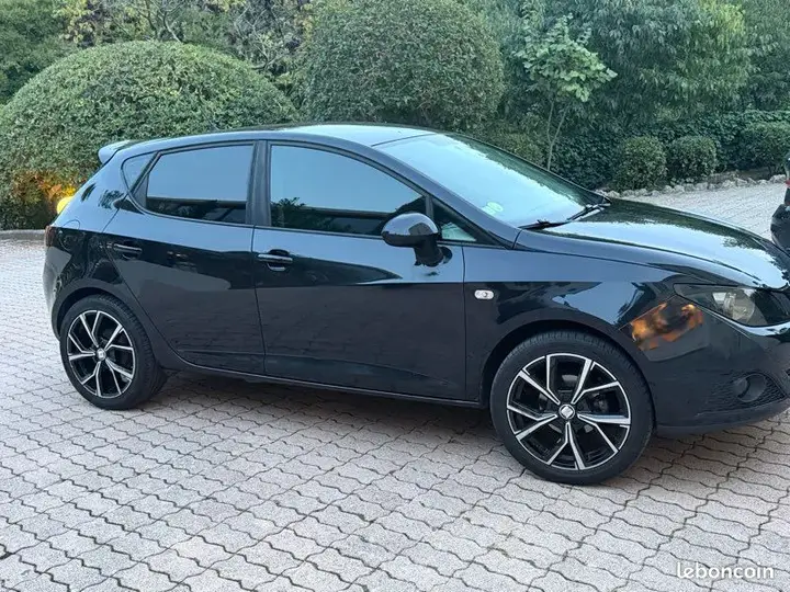 Seat Ibiza 2011 photo 2
