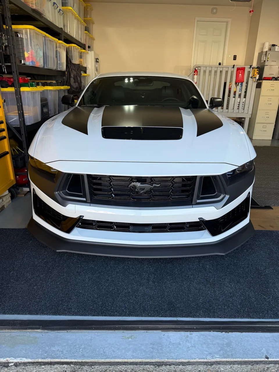 Ford Mustang 2025 photo 3