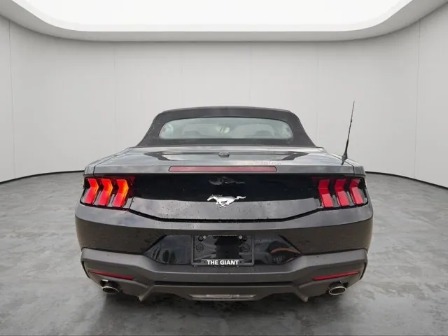 Ford Mustang 2026 photo 4
