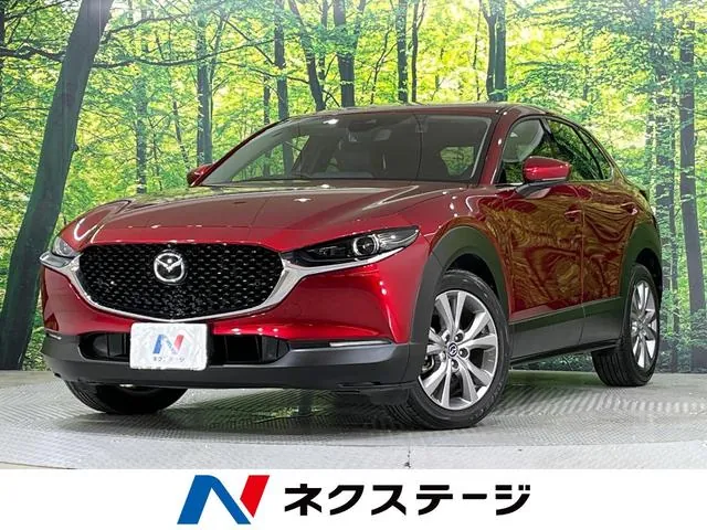 Mitsubishi Cx-30