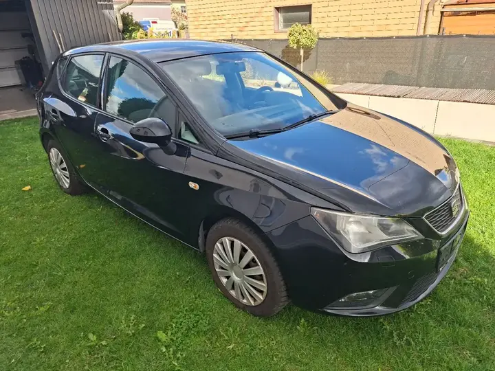 Seat Ibiza 2013 photo 2