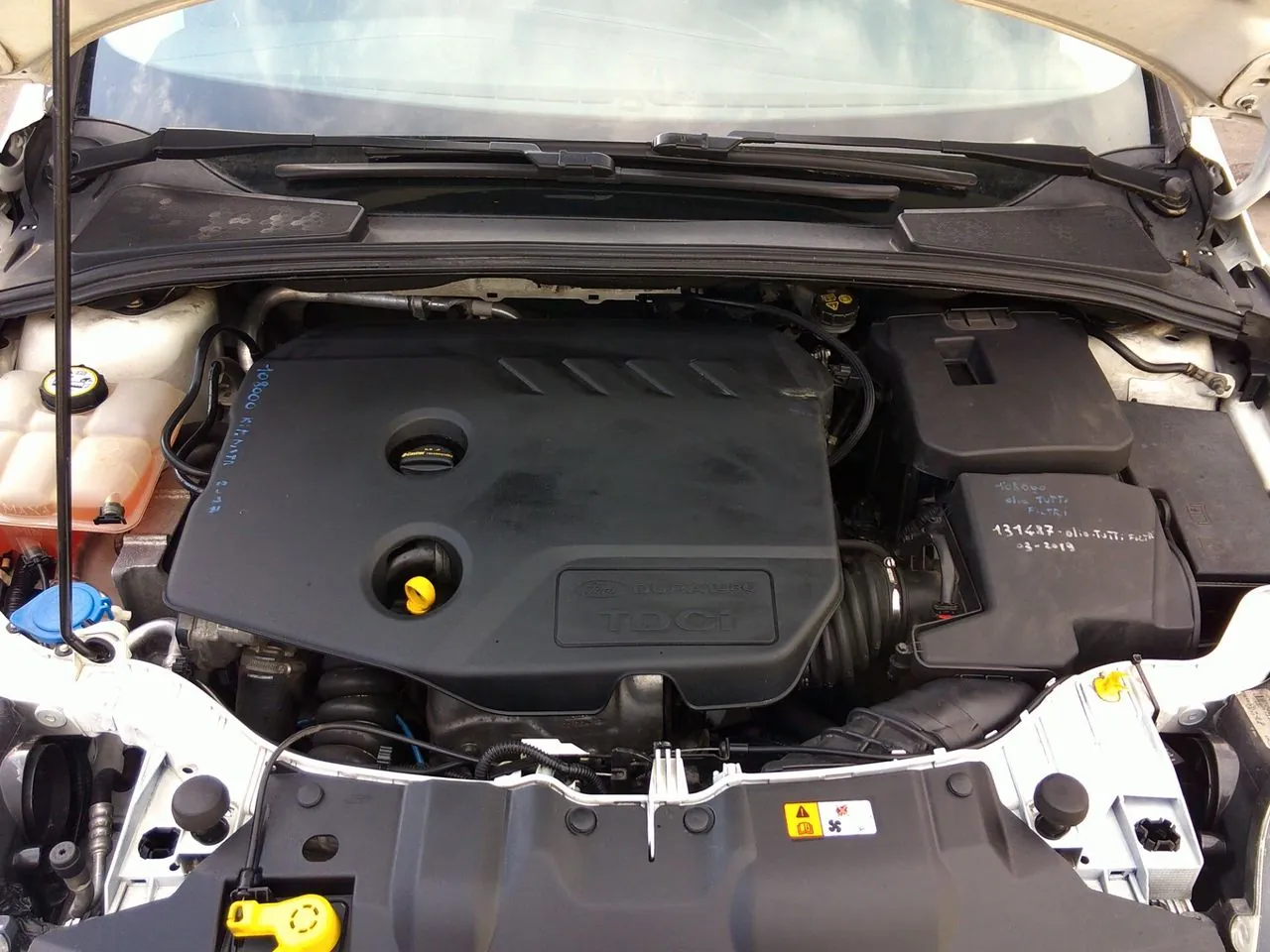 Ford Focus 2012 photo 5