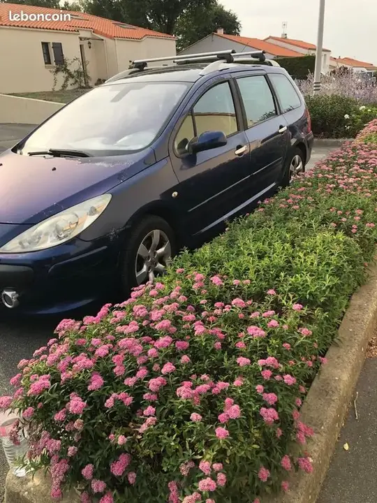 Peugeot 307