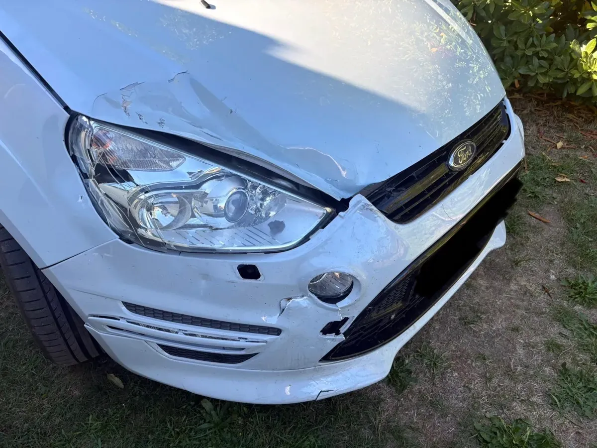 Ford S-Max 2011 photo 2