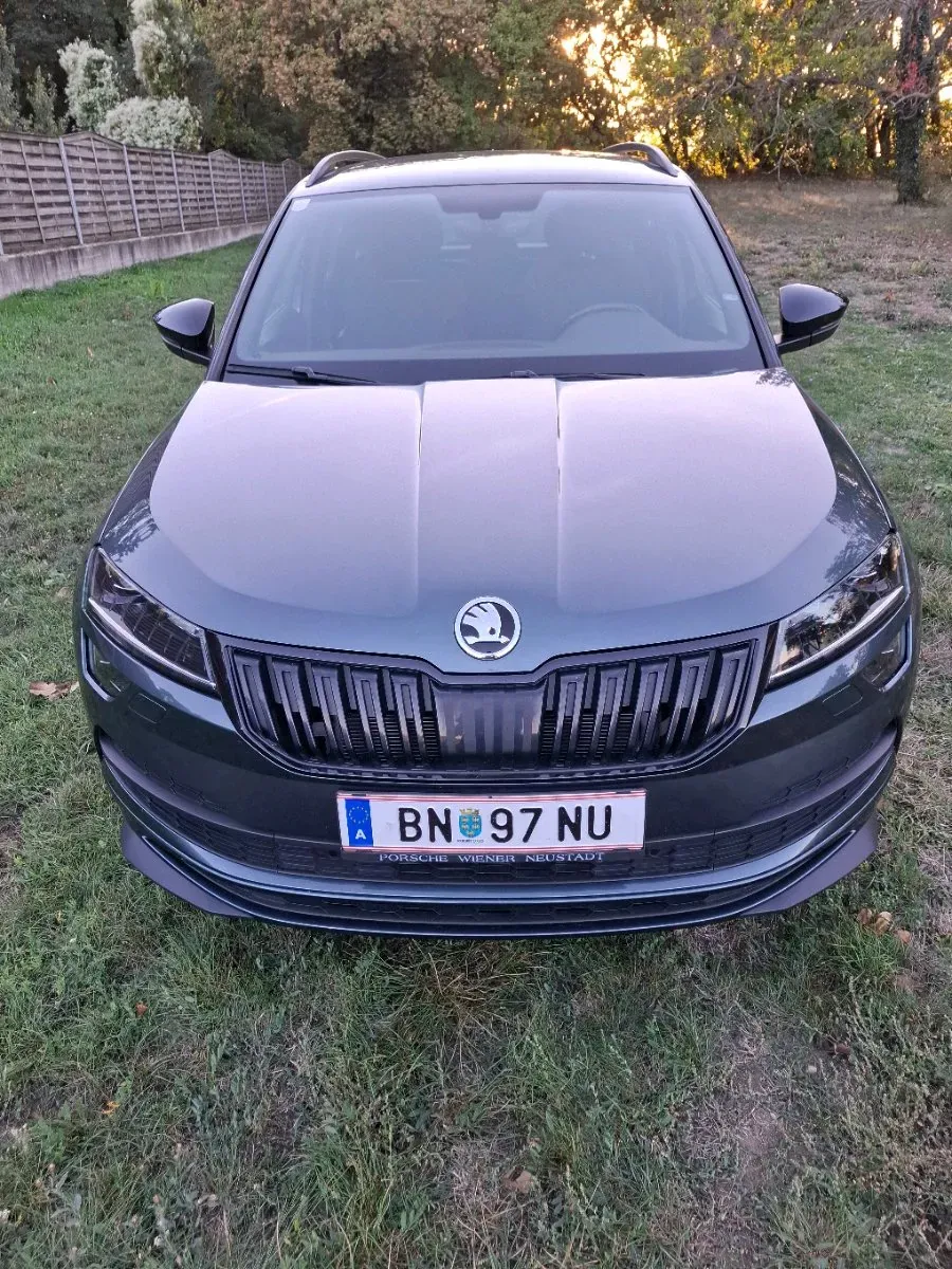 Skoda Karoq 2019 photo 2