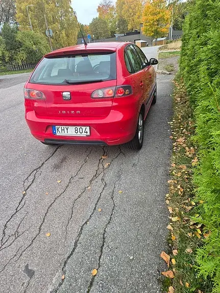 Seat Ibiza 2007 photo 3