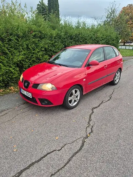 Seat Ibiza 2007 photo 2