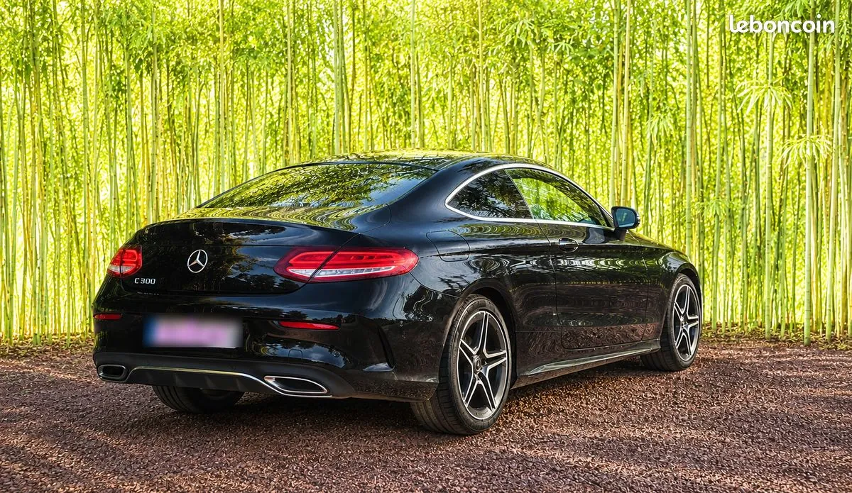 Mercedes-Benz C-Class 2019 photo 2