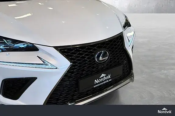 Lexus Nx300H 2017 photo 3