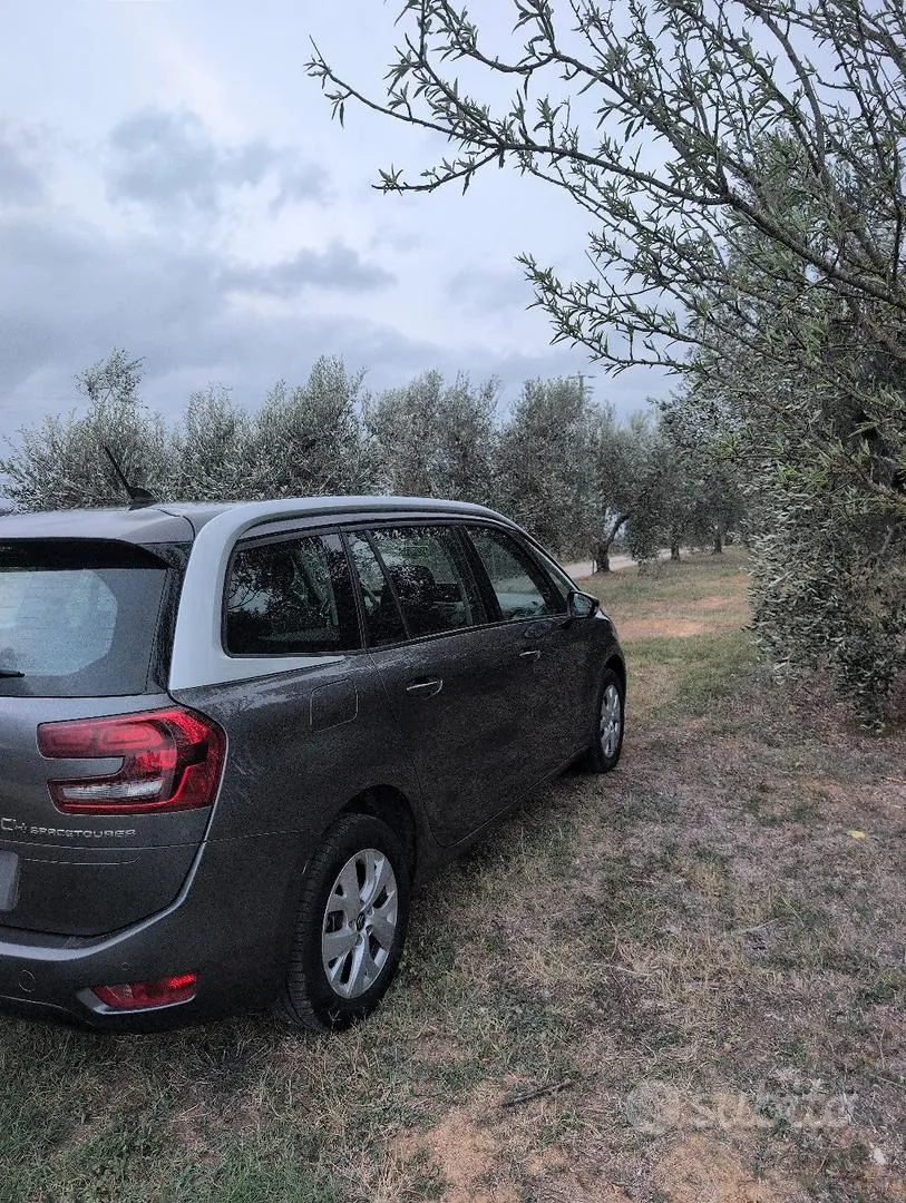 Citroen C4 Spacetourer 2019 photo 3