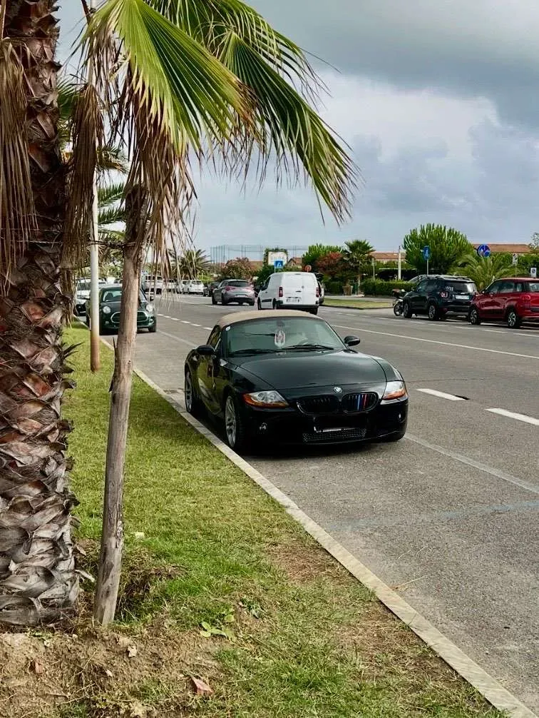 BMW Z4 2003 photo 3