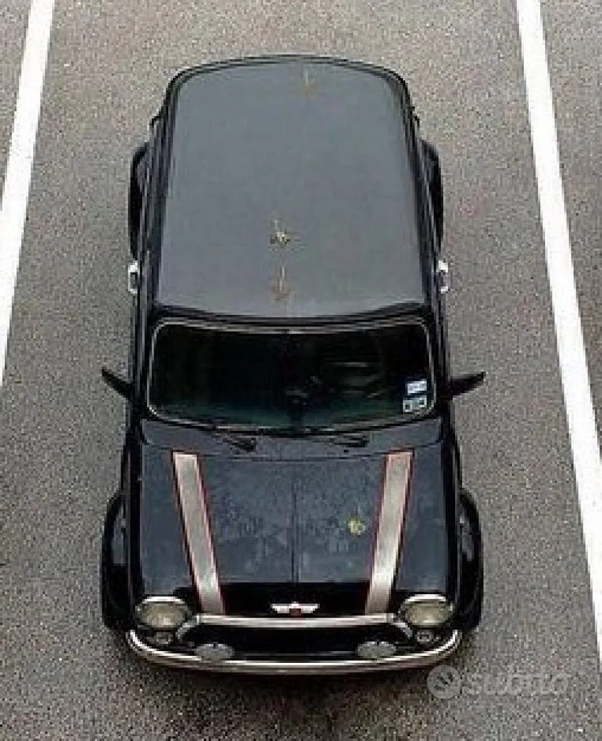Rover Mini