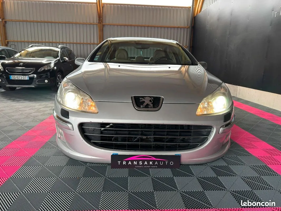 Peugeot 407 2007 photo 2