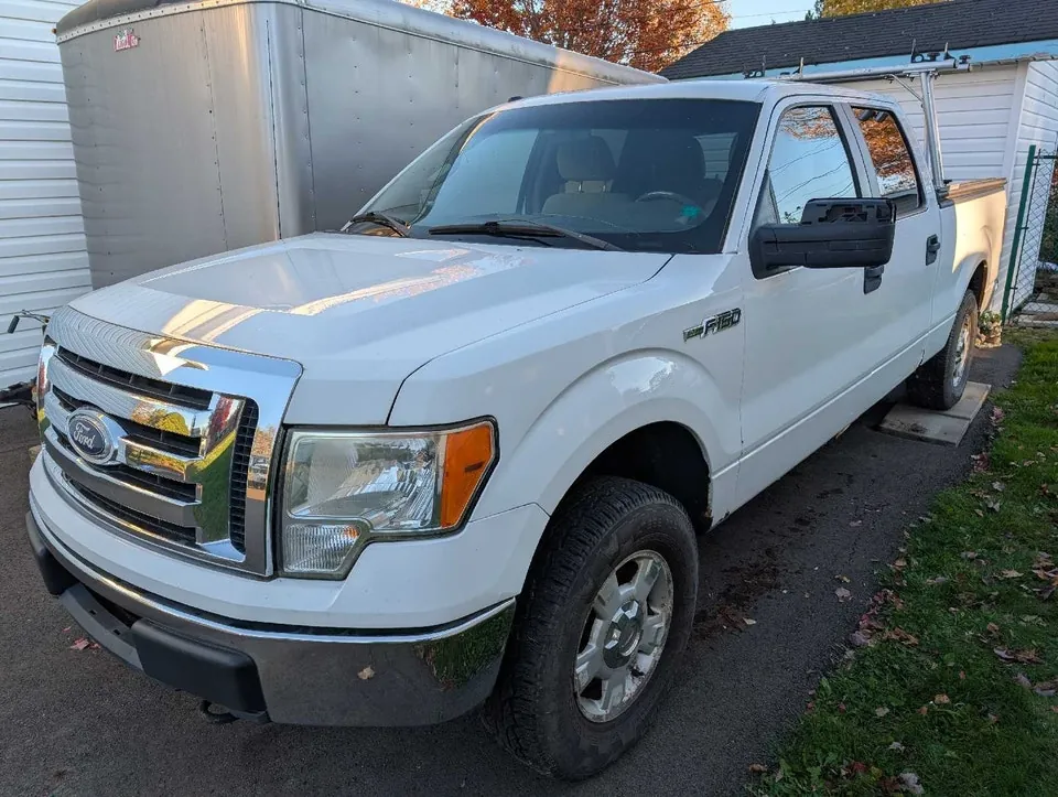 Ford F-150 2010 photo 2