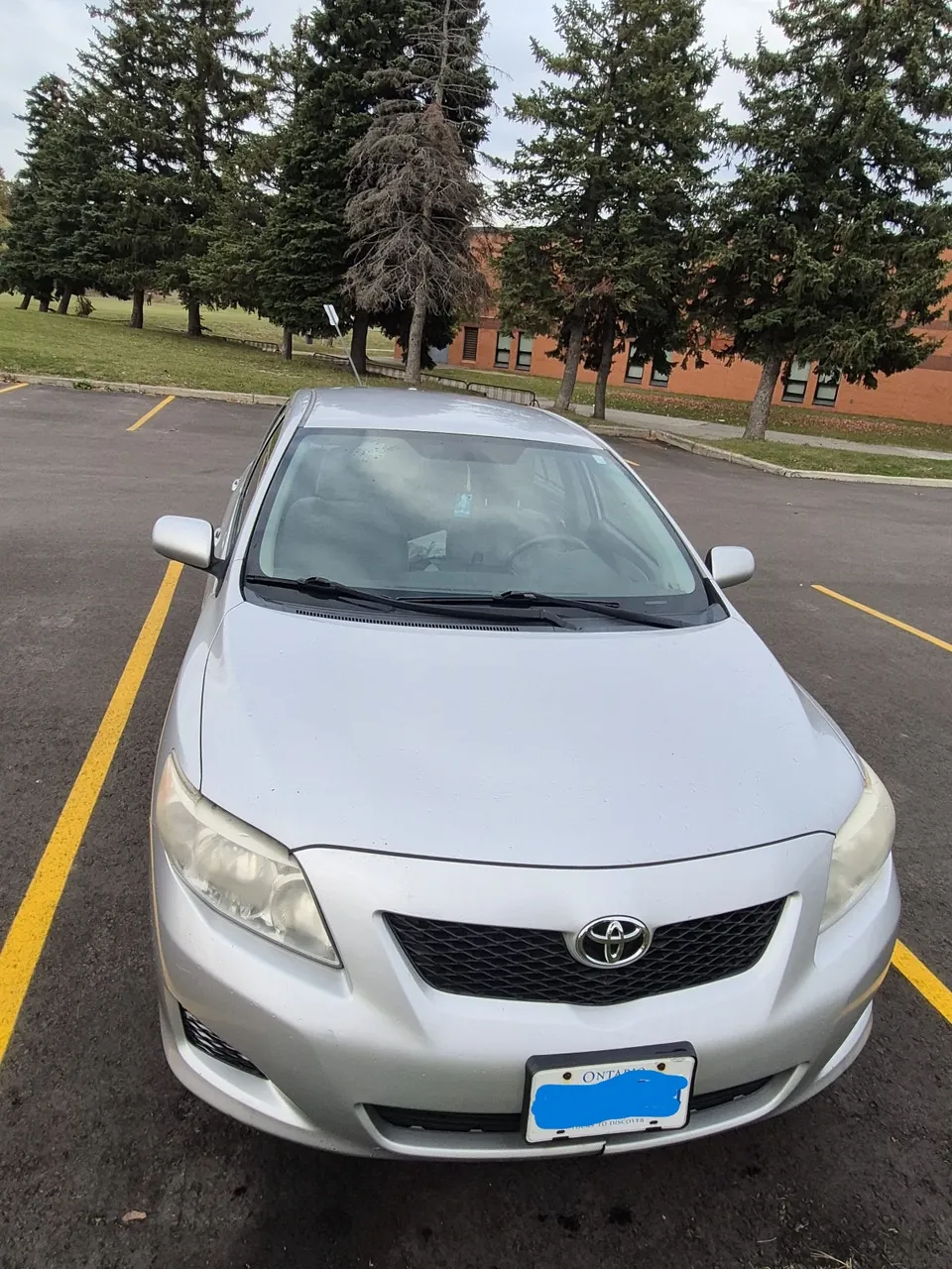 Toyota Corolla 2010 photo 3