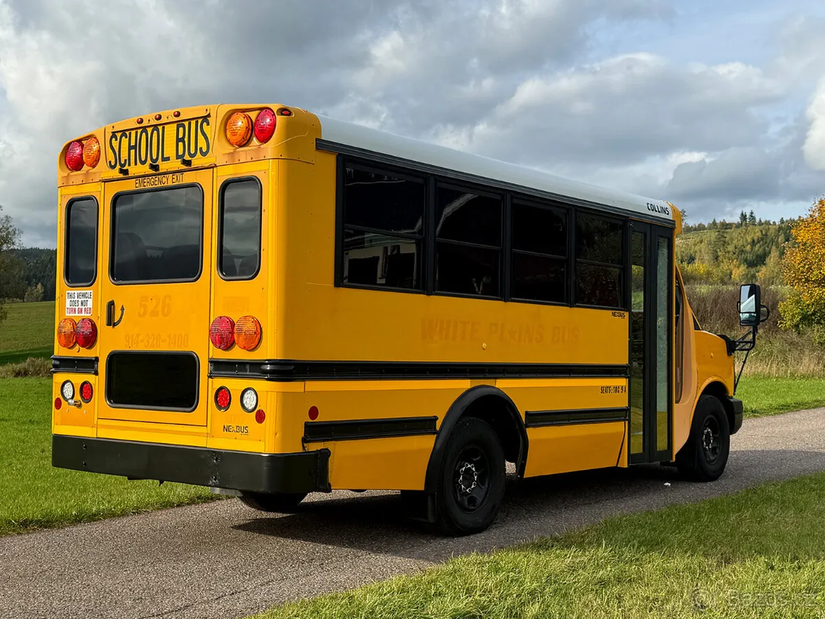 Chevrolet Express 2013 photo 5