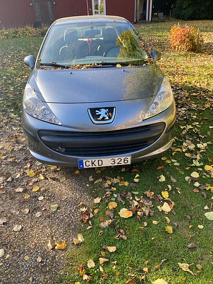 Peugeot 207 2009 photo 3