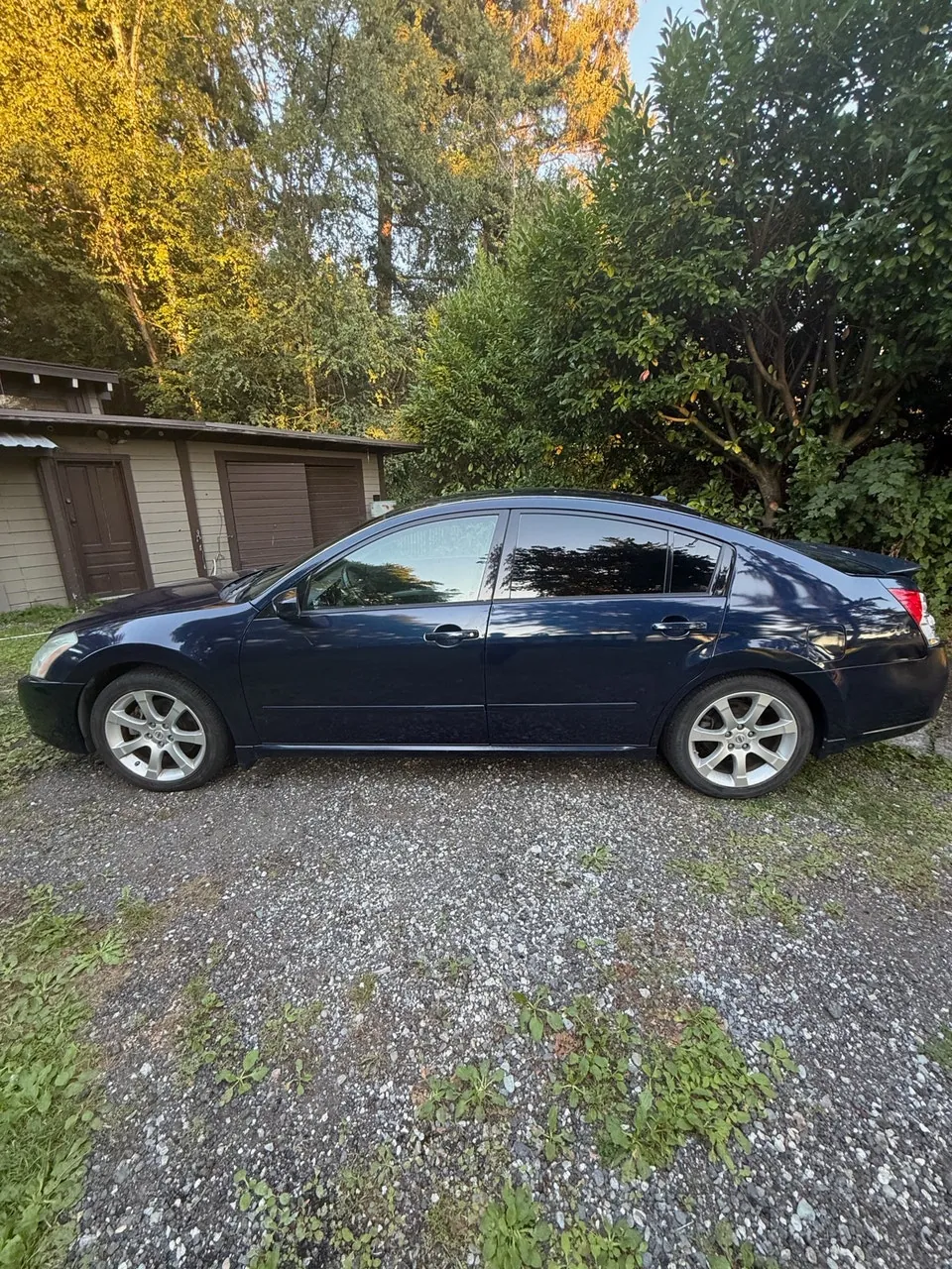 Nissan Maxima 2008 photo 3