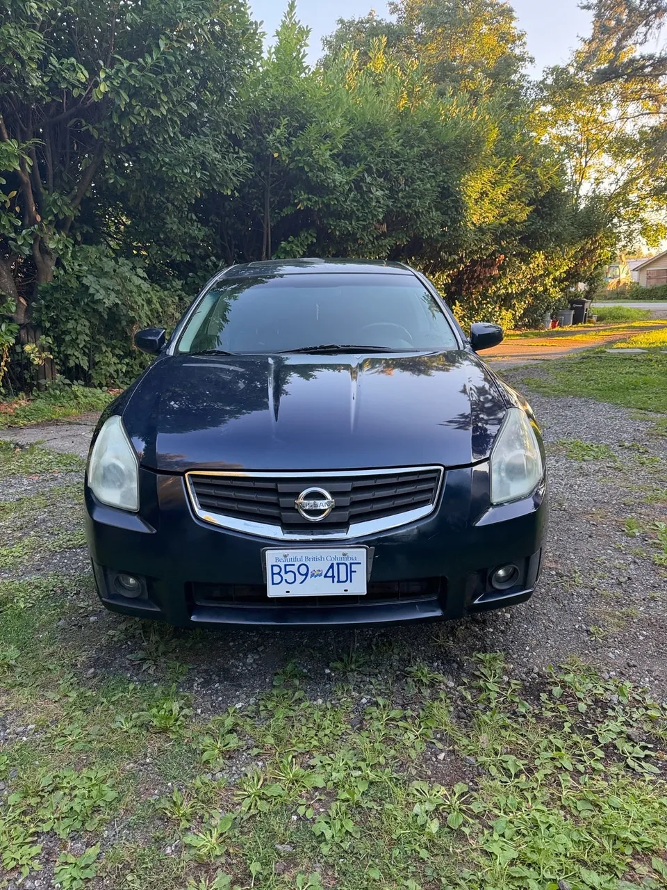 Nissan Maxima 2008 photo 2