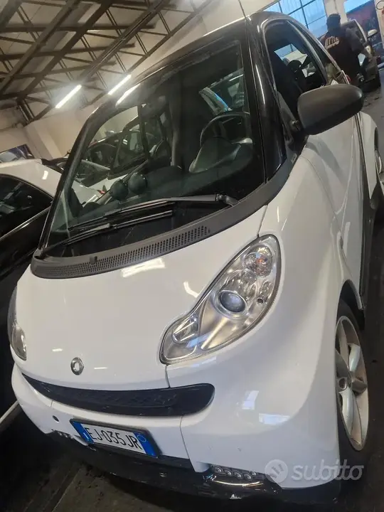 Smart Pulse 2011 photo 2